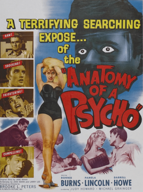 Anatomy-of-a-Psycho-Poster-600x807